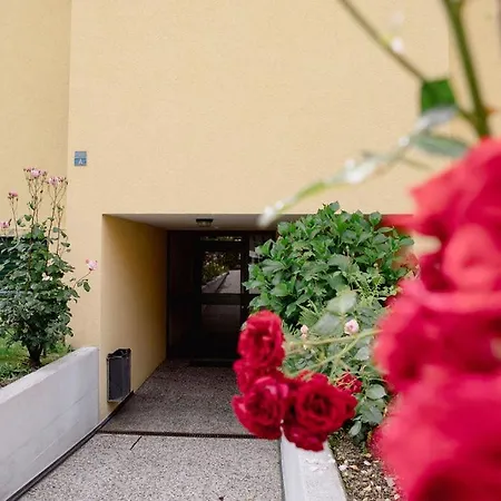 Residenza Robinia - Objekt 6500 דירה לוקרנו